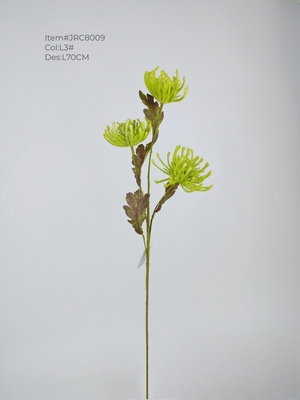 Flocked wild chrysanthemum