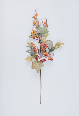 Maple leaves and red/orange berries branch