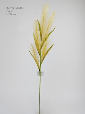 Autumn pampas grass branch with leaves