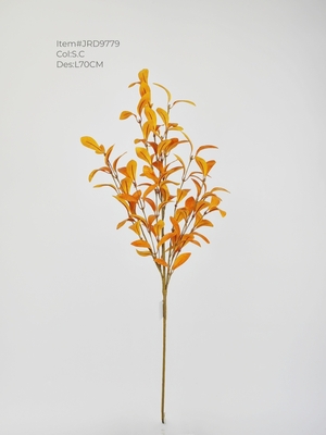 Quality Autumn leave branch