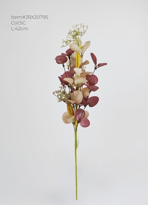 EVA eucalyptus leaves branch with mini berries