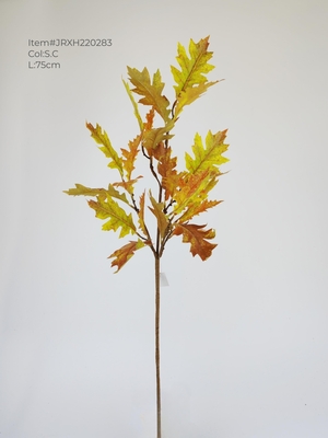 Autumn leaves branch