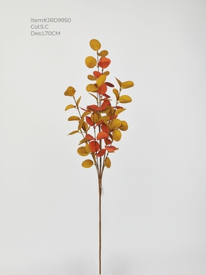 Autumn eucalyptus leaves branch