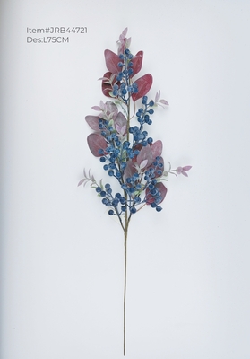 Autumn blueberries spray with mixed leaves